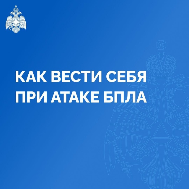 Фотография 1